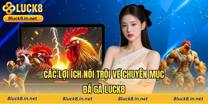 Các lợi ích nổi trội về chuyên mục đá gà Luck8