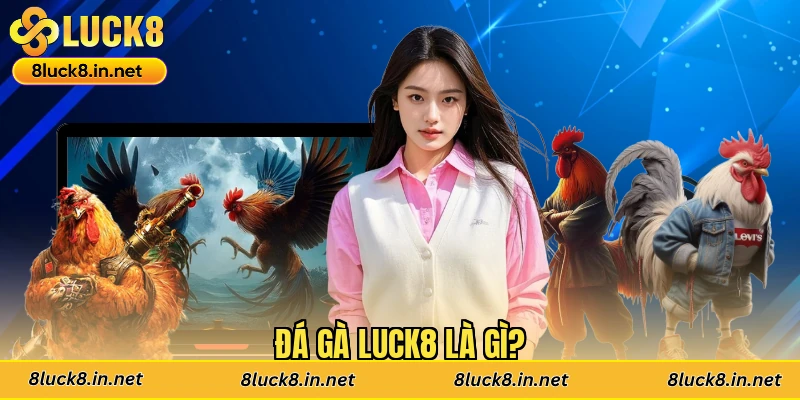 Đá gà Luck8 là gì?