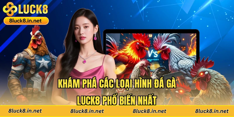 Khám phá các loại hình đá gà Luck8 phổ biến nhất
